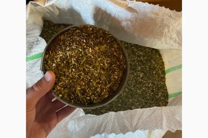 Табак самосад оптом и в розницу- фото № 2