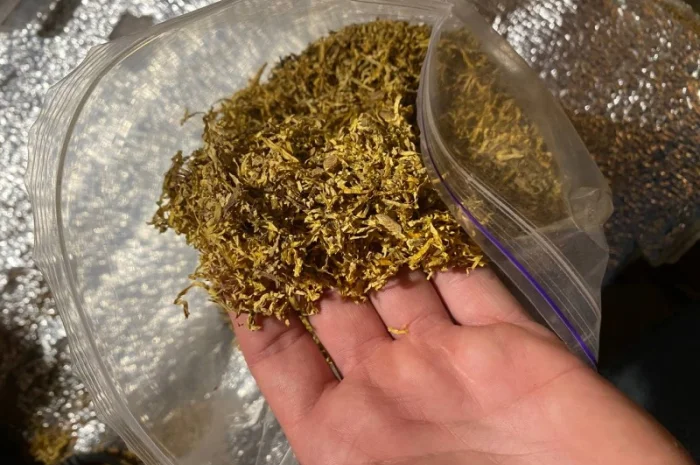 Табак с приятным вкусом и легкой крепостью- фото № 2