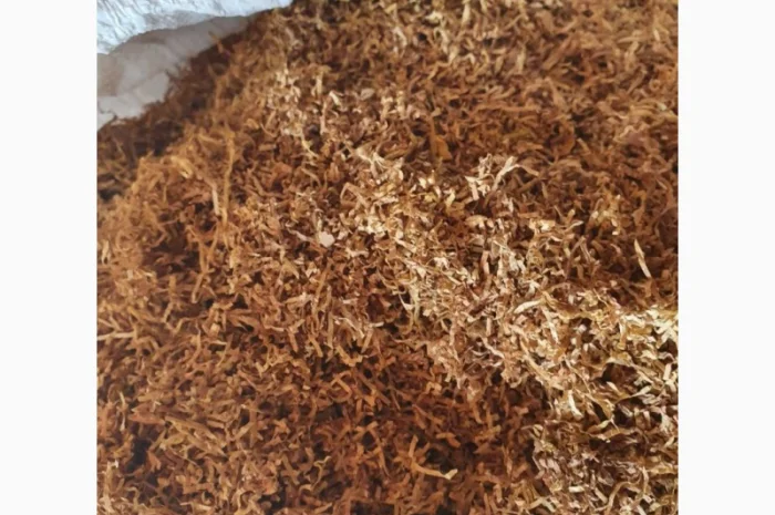 Табак: Гавана, Міленіум, Вірджинія та інші сорта- фото № 5