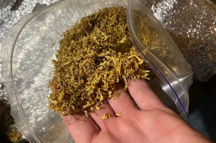 Табак Капитан Блек и другие сорта в продаже- фото № 6