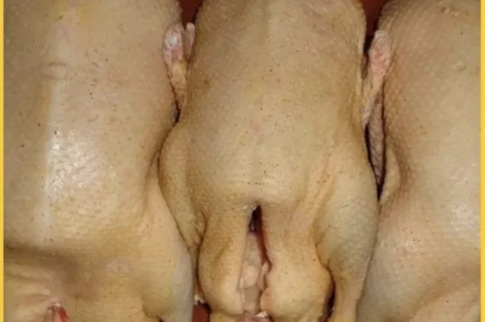 Тушки домашніх мускусних уток на продаж- фото № 1