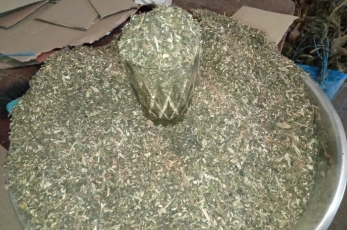 Самосад домашний с крепостью для ценителей- фото № 2