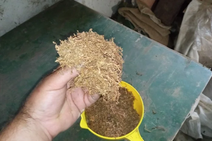 Самосад домашний с крепостью для ценителей- фото № 3