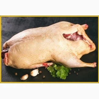 Мясо мускусной утки шипуна в продаже- фото № 1