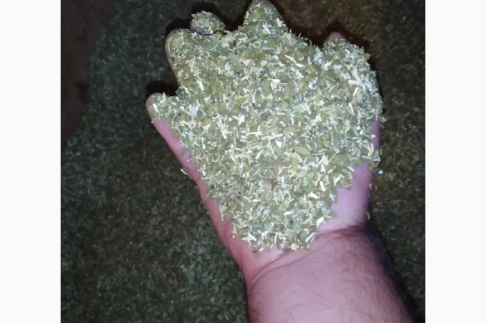 Свежий мягкий табак Махорка домашний Самосад- фото № 1