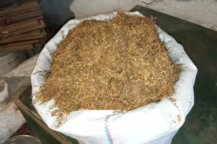 Свежий мягкий табак Махорка домашний Самосад- фото № 5