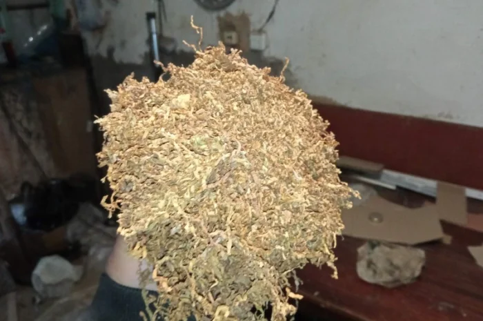 Продается украинский табак. Махорка и натуральный тютюн- фото № 4