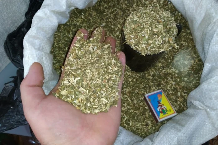 Продается качественный табак: самосад и махорка- фото № 2