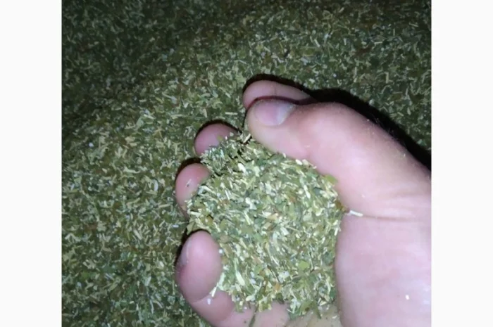 Свежий домашний табак Самосад – отличный выбор для любителей- фото № 2