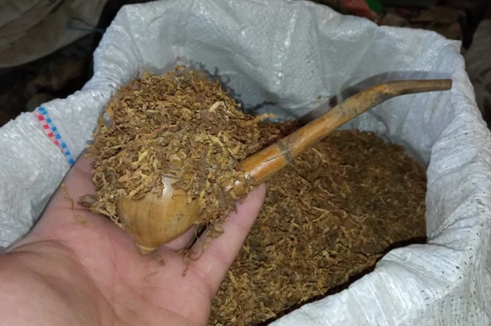 Самосад и табак Вирджиния домашний для машинок- фото № 3