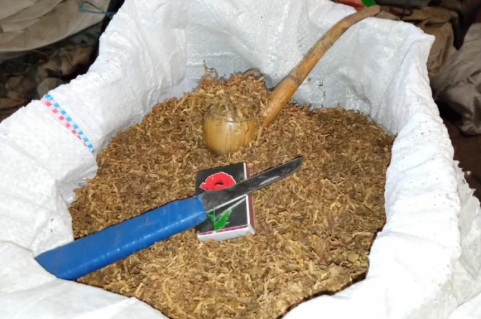 Самосад и табак Вирджиния домашний для машинок- фото № 4