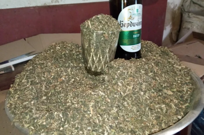 Продается домашний табак – самосад не вонючий- фото № 3