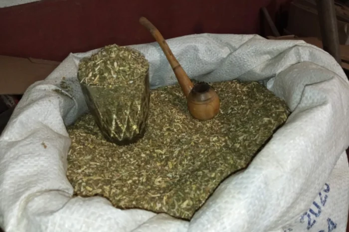 Самосад для чоловіків – домашній тютюн без запаху- фото № 3