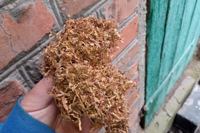 Табак домашний Вирджиния - отличное качество- фото № 1