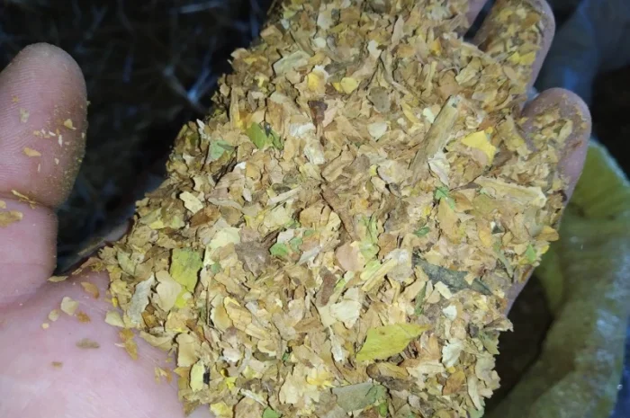 Домашній табак - самосад та різаний табак двох сортів- фото № 1