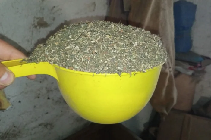 Табак домашній Махорка та Вірджінія - свіжий врожай- фото № 3