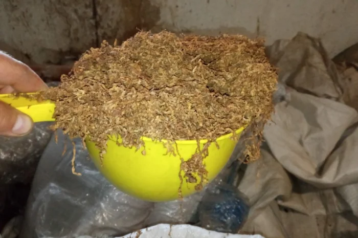 Продажа ТЮТЮНА Махорка Вірджінія- фото № 1