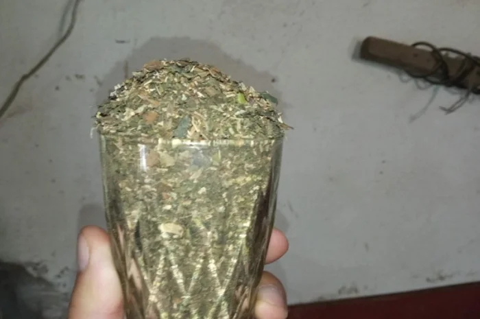 Домашній табак без добавок і хімії Махорка- фото № 2