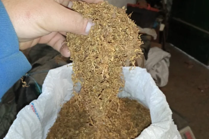 Тютюн Вірджінія домашній без мусора і пилі- фото № 1