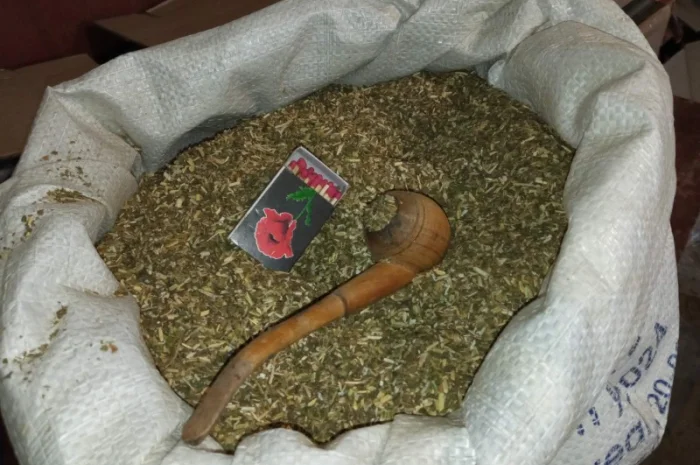 Тютюн Вірджінія домашній без мусора і пилі- фото № 2