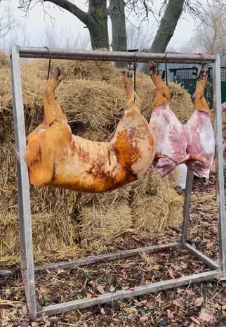 Домашняя свинина, туши, колбасы, сало опт/розница- фото № 1