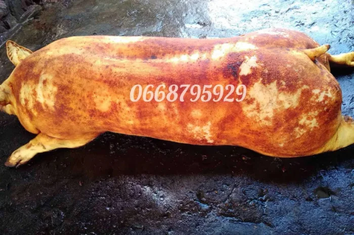 Туши свиней, мясо свинины под заказ- фото № 1