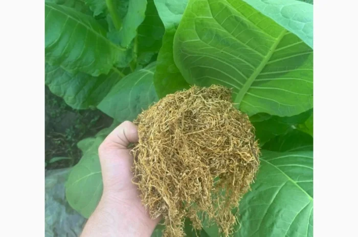 Табак Вирджиния - большой выбор на развес- фото № 1