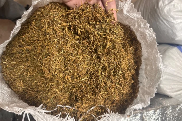 Табак 2023 года! Реальные фото! Лучшие цены! Гильзы- фото № 4