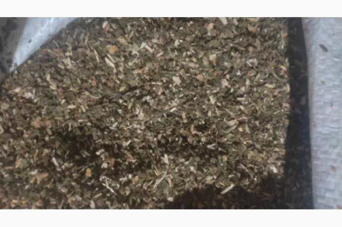 Махорка (самосад) 2025 года выпуска- фото № 1