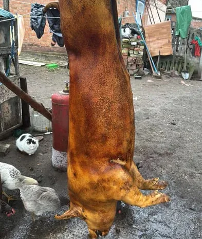 Туша и півтуша свинины в продаже- фото № 1