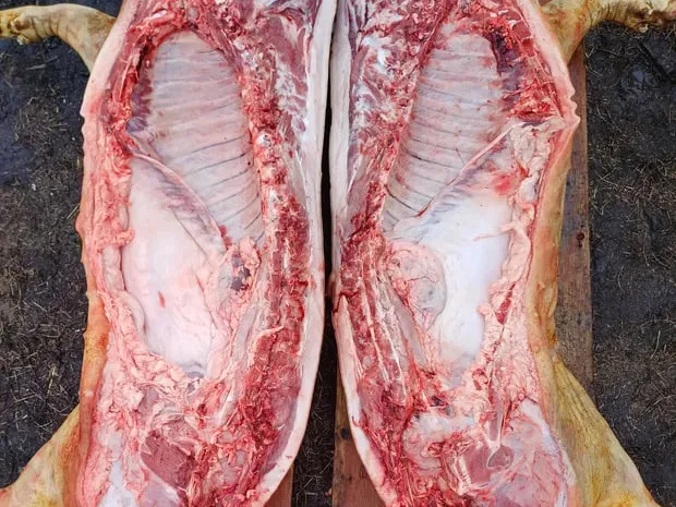 Свежая свинина оптом – туши и полутуши- фото № 1