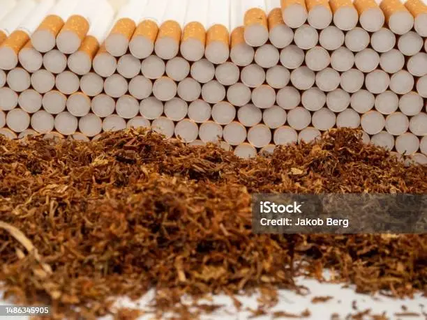Тютюн фабричний-Ротманс -Давідоф -Мальборо-Вірджинія- фото № 1