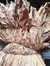 Продается листовой табак без химии- фото № 2