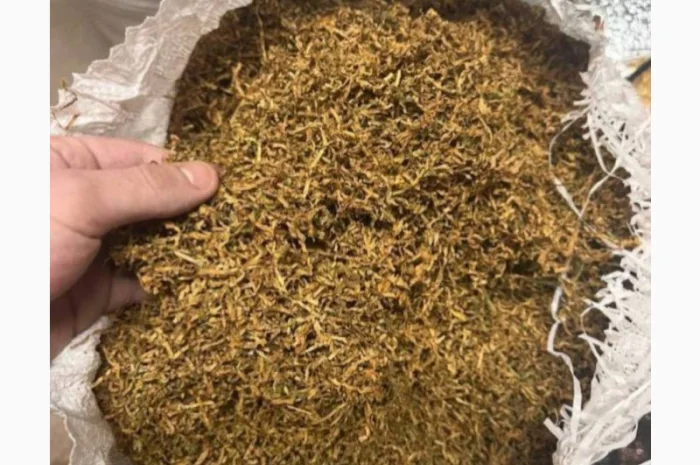 Якісний тютюн за доступними цінами- фото № 2