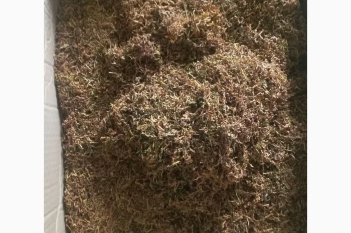 Табак люкс премиум качества- фото № 7