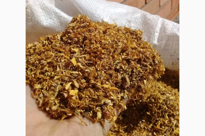 Табак Вірджинія - лапша, средняя крепость- фото № 2