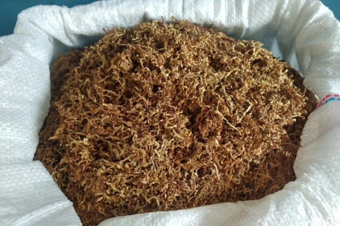 Табак Вирджиния оптимальной влажности- фото № 1