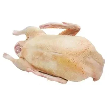 Пропонується утка Мулард. Тушка- фото № 1