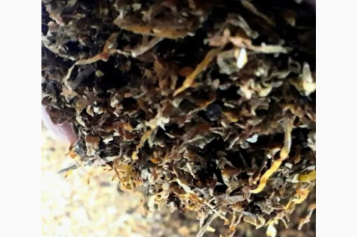 Табак Мальборо и другие марки в продаже- фото № 2