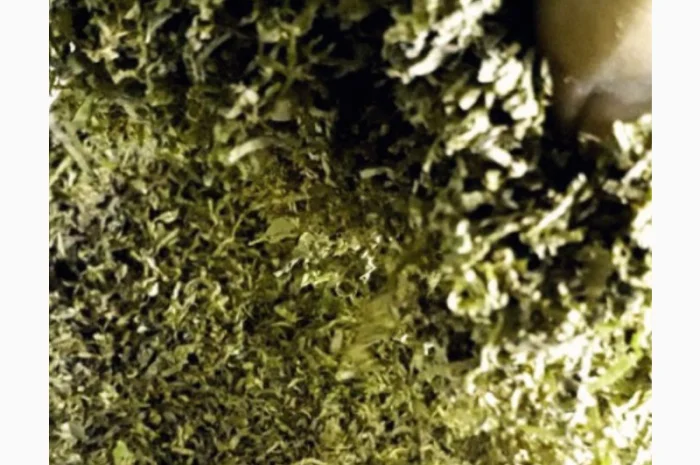 Табак Мальборо и другие марки в продаже- фото № 5