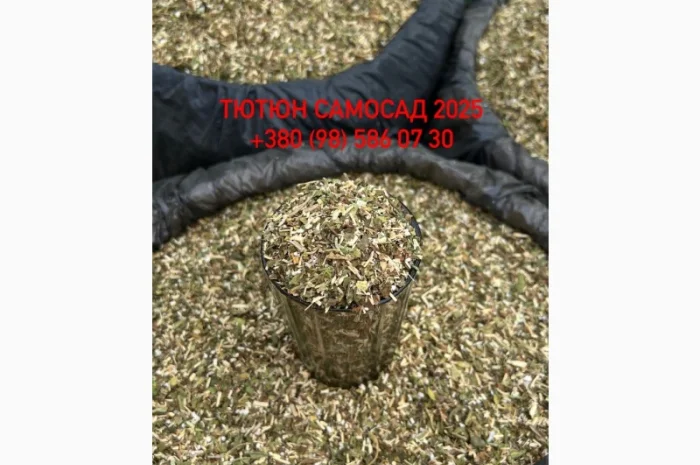 Тютюн самосад – продажа- фото № 2