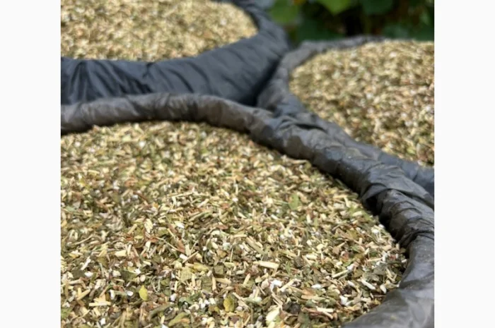 Тютюн самосад – продажа- фото № 3