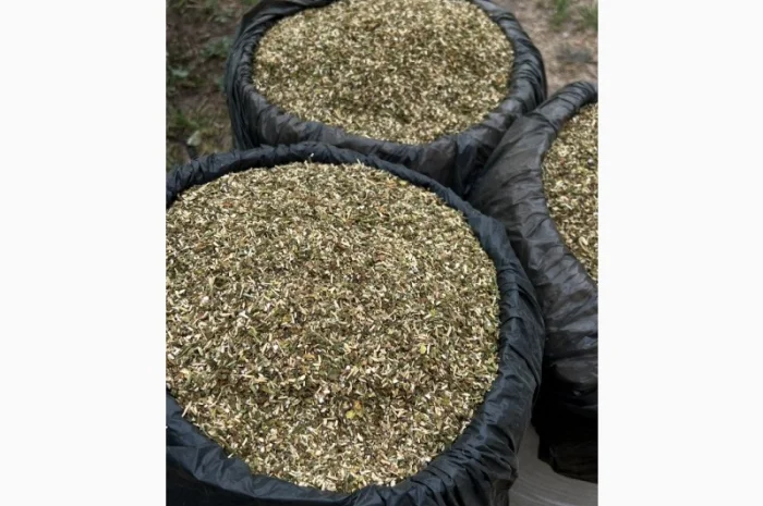 Тютюн самосад – продажа- фото № 4