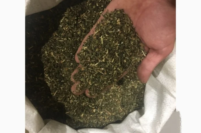 Крепкий самосад, который оценят знатоки- фото № 1