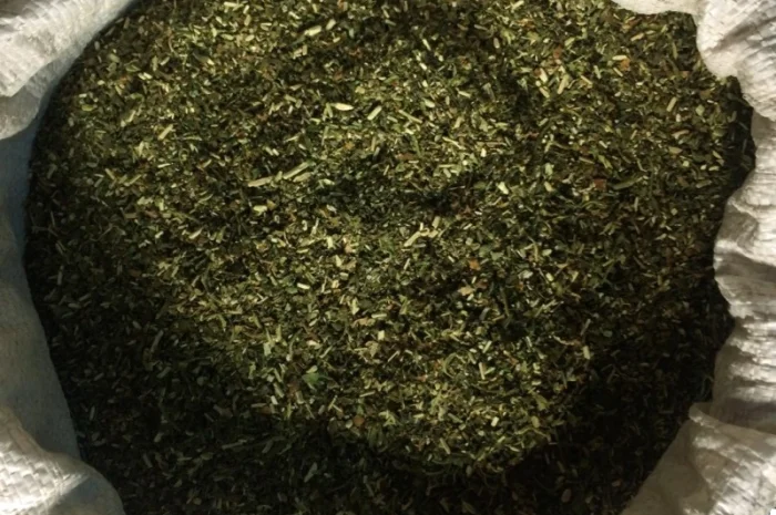 Простая сельская махорка на продажу- фото № 2