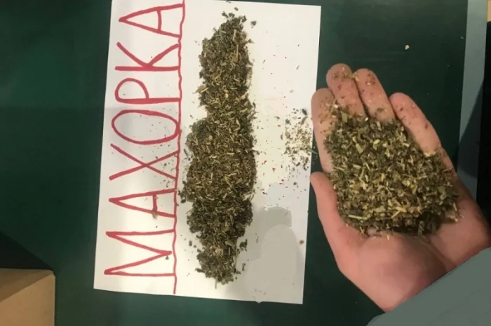 Тютюн самосад для самокруток- фото № 1