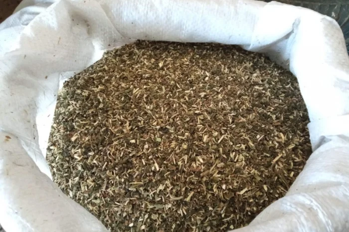 Самосад - якісний тютюн на продаж- фото № 2