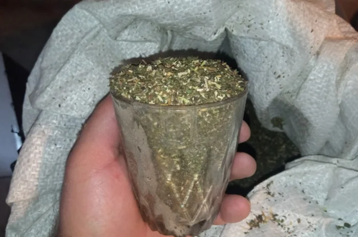 Якісна махорка для гурманів- фото № 1