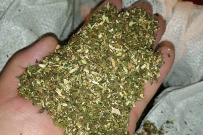 Середній та якісний самосад- фото № 1