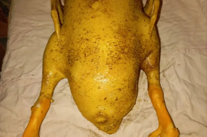 Продается мясо утки, тушка породы Чери-Велли- фото № 1